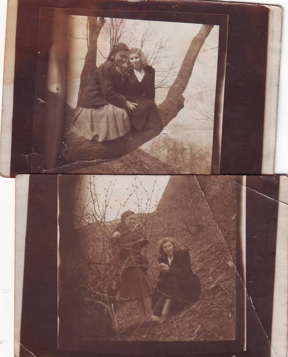 Scan10007 (564x700, 43Kb)