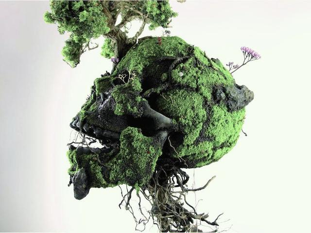 skull-1 (640x480, 217Kb)