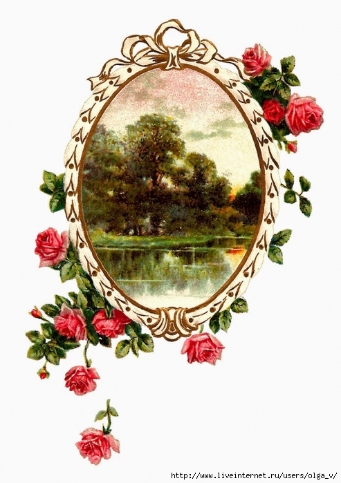 4964063_birthday_rose_frame_gmjpg (493x700, 266Kb)