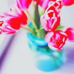 1425064959_98189480_pink_tulips_in_a_mason_jar_large (150x150, 56Kb)