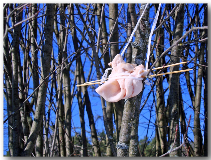 3587765_DSC05554 (700x530, 351Kb)
