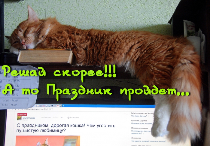 5675006_DSC_4027 (700x486, 281Kb)