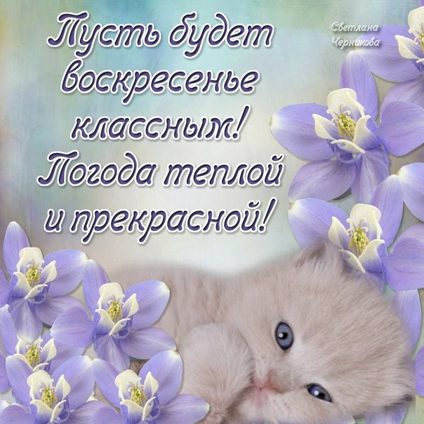 http://img0.liveinternet.ru/images/attach/c/0/120/827/120827714_aJ_qTOXtMo.jpg