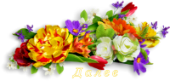 4690170_IbLS (170x81, 29Kb)