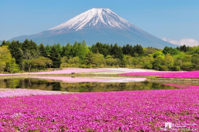 5745884_leto_Park_Hicyjiyama_Yaponiya_1_ (700x466, 280Kb)