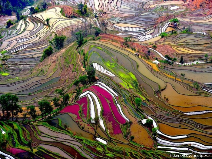5745884_leto_Uanyan_Kitai (700x524, 389Kb)