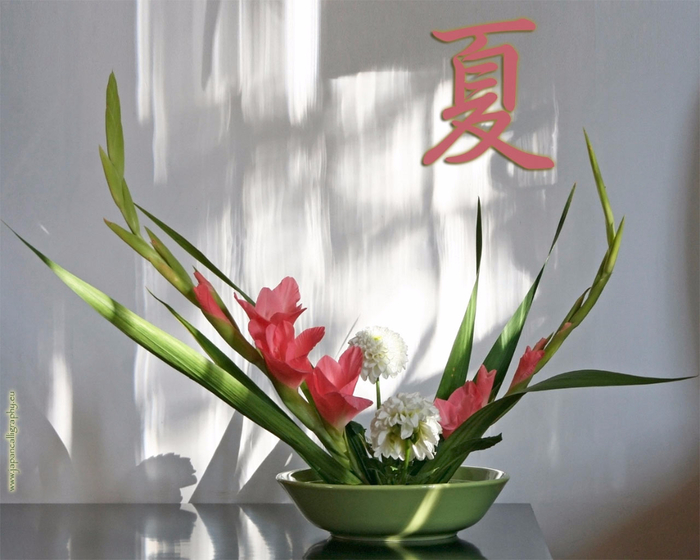 ikebana-gladiolus (700x560, 319Kb)