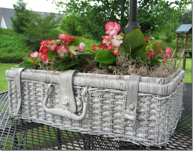 70704156_shabby__basket_planter_thumb9 (618x484, 383Kb)