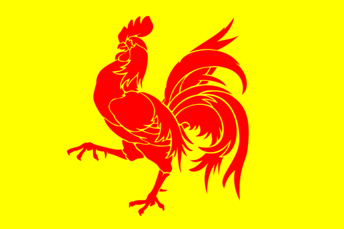      Flag_of_Wallonia.svg (700x466, 32Kb)