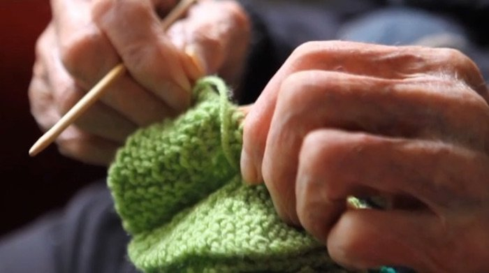 alfred-date-tricot-manchot-phillip-islan (700x391, 166Kb)