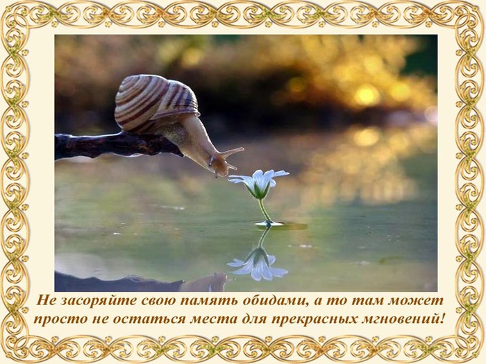  (700x525, 116Kb)