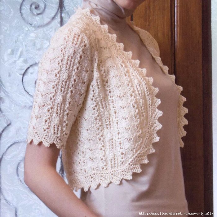 bolero-knit-01-bg (700x700, 268Kb)