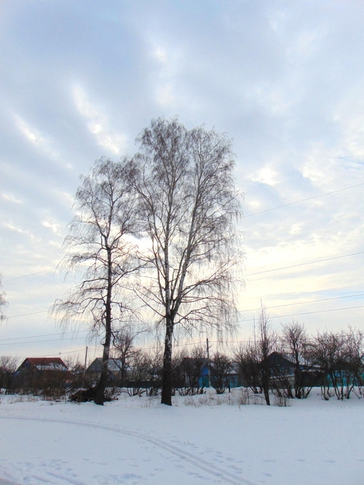 DSC00006 (525x700, 249Kb)