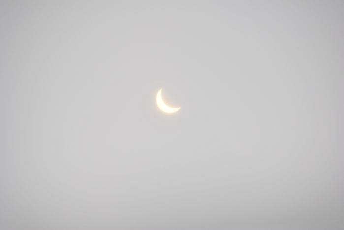 DSC_0841 (700x468, 143Kb)