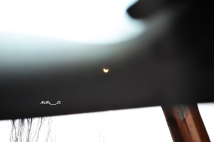 DSC_0816-1 (700x463, 30Kb)