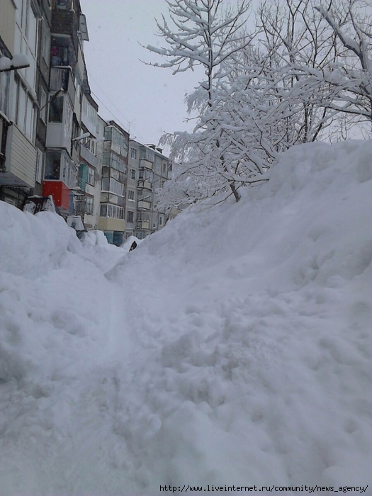 4611276_image1 (525x700, 247Kb)