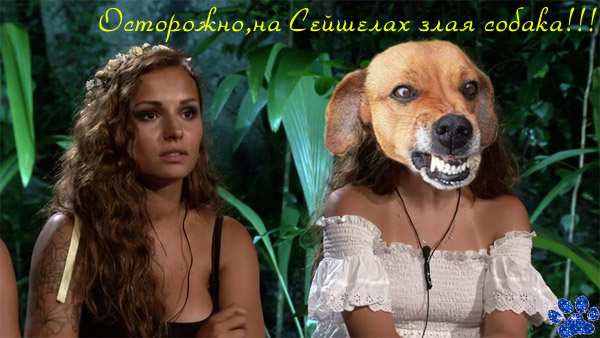  (600x338, 99Kb)