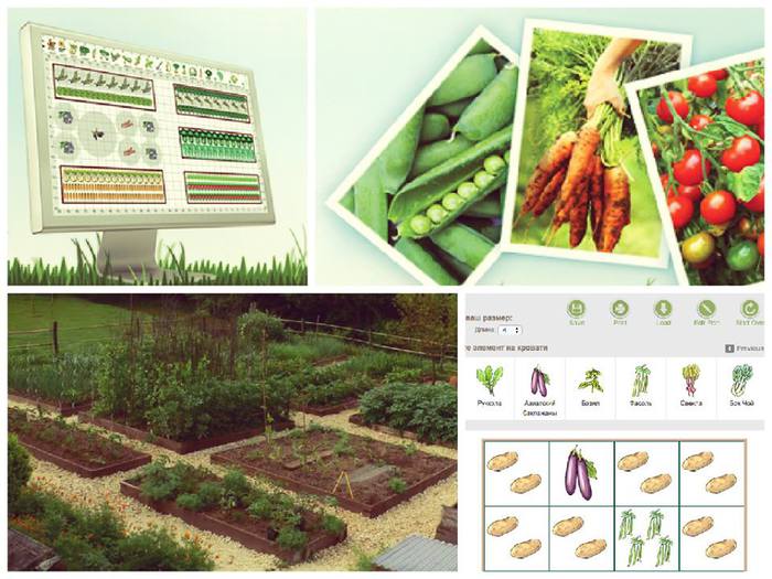 План посадки овощей на огороде схемы с фото с размерами