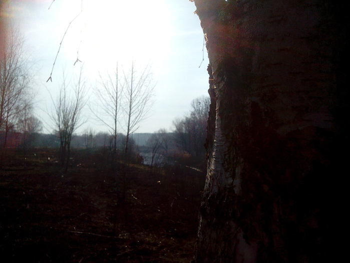 4052195_IMG_20150321_081837_1 (700x525, 311Kb)
