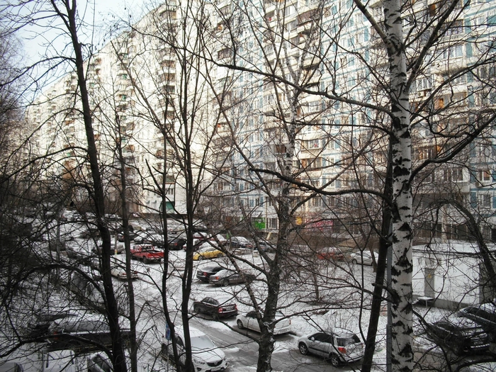  22 03 15   9-00 (700x525, 394Kb)