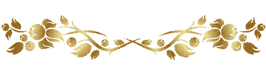 5 (386x100, 39Kb)