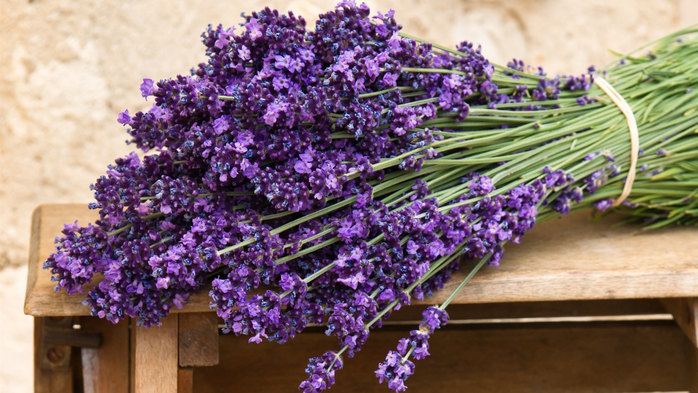 Bouquet-of-purple-lavender-flowers_1920x1080 (700x393, 399Kb)