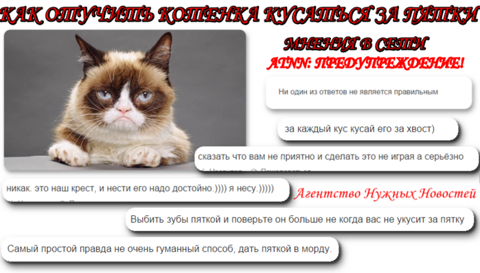 5302747_HECCryXo1diz (700x398, 208Kb)