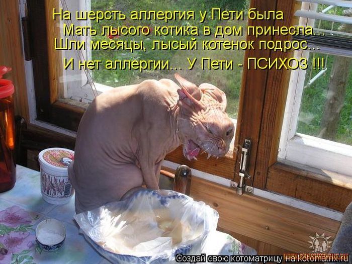  2 (700x525, 87Kb)