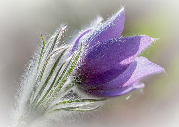 4617818_0_110532_98d489dc_orig (700x494, 272Kb)