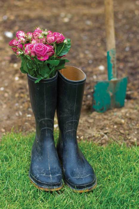 content_hbc-fm12-ww-roses-in-boots-shrstock-81765769 (466x700, 51Kb)