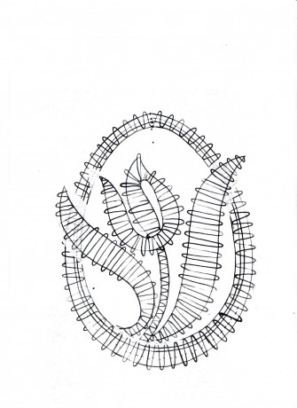 img_0003 (335x460, 35Kb)