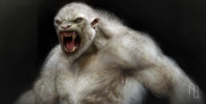 Yeti (700x355, 54Kb)