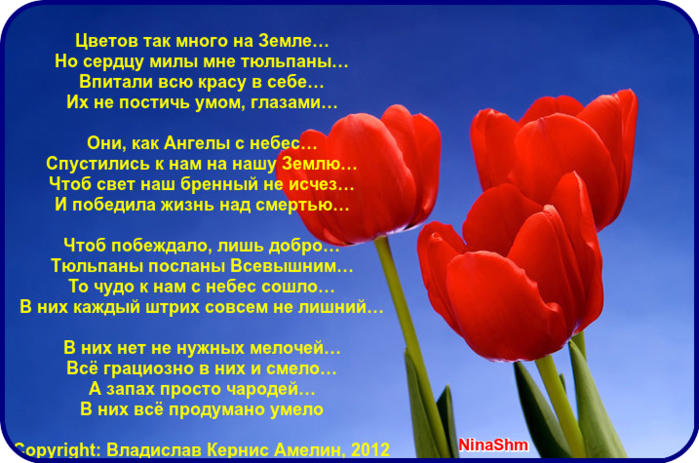 121211013_w7EE7w7J0yCi (699x463, 1501Kb)
