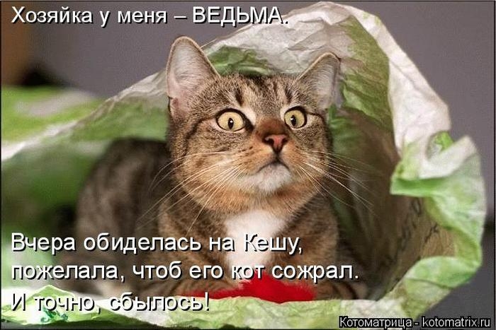 1427403691_04 (700x467, 190Kb)
