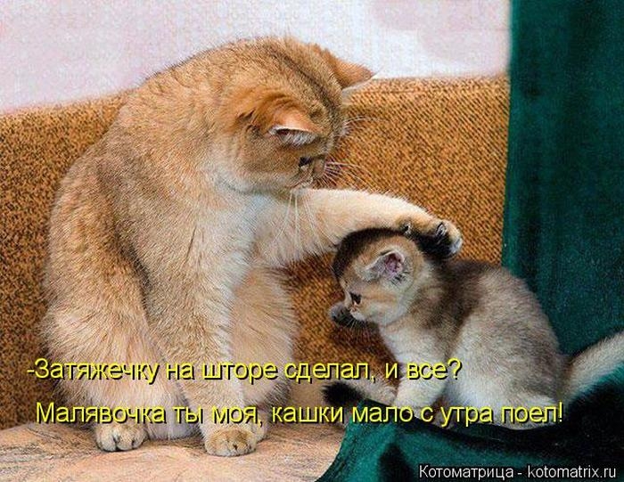 1427403696_33 (700x541, 272Kb)