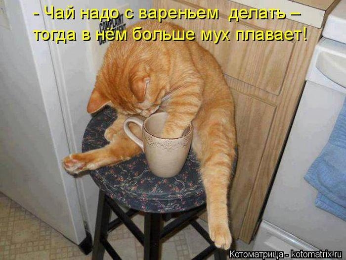 1427403699_08 (700x525, 187Kb)