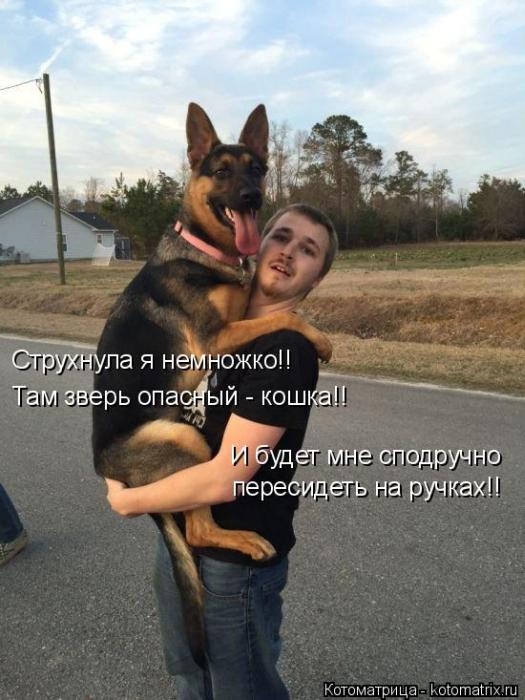 1427403725_41 (525x700, 178Kb)