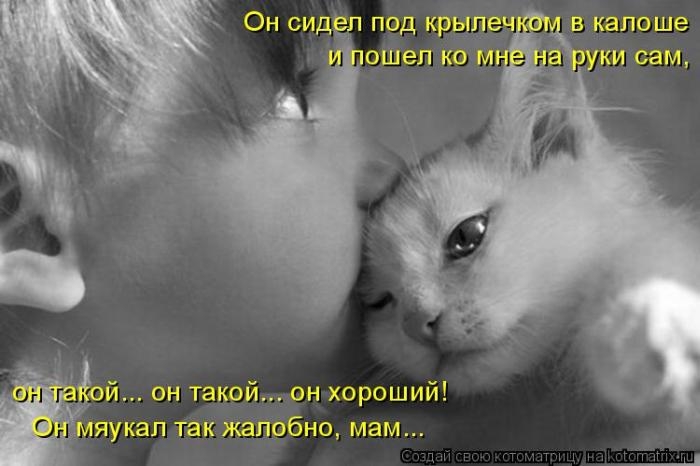 1427403747_23 (700x466, 127Kb)