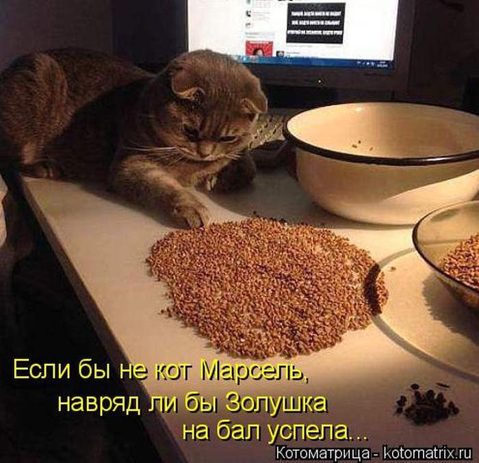 1427403752_39 (700x677, 233Kb)