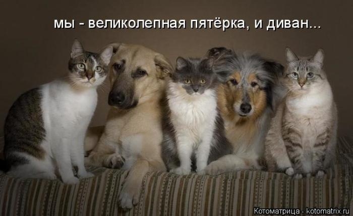 1427403759_49 (700x429, 114Kb)