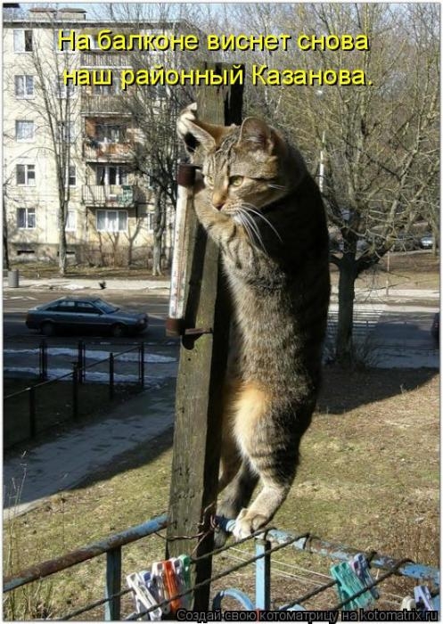 1427403767_44 (1) (497x700, 240Kb)