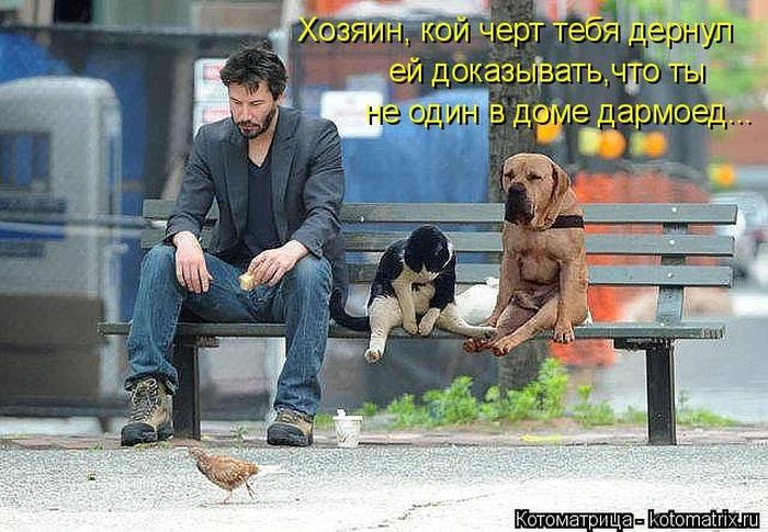 1427403768_21 (700x485, 226Kb)
