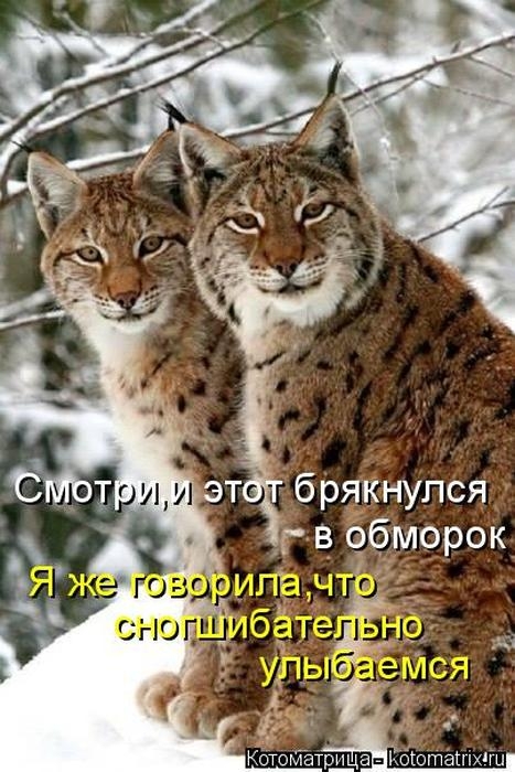 1427403782_22 (467x700, 211Kb)