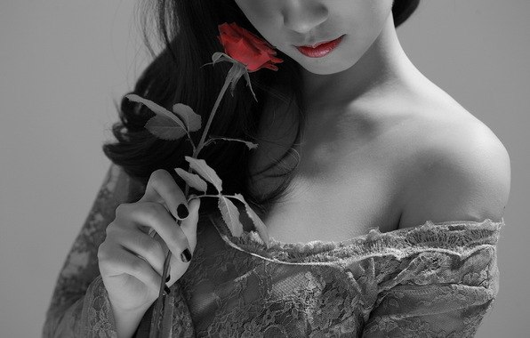 BBHV_FH8XII (596x380, 44Kb)