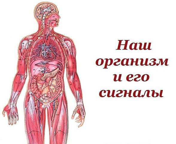 image (38) (588x480, 205Kb)