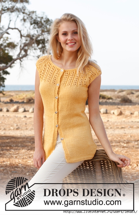 folder (452x700, 235Kb)