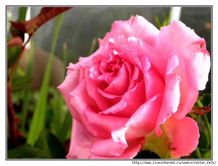 1427704248_2011_08_25_138 (700x534, 250Kb)