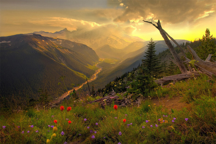 92beautiful-mount-rainier-national-park (700x466, 147Kb)