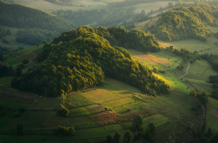 50hills-of-carpathians-mountains (700x462, 129Kb)