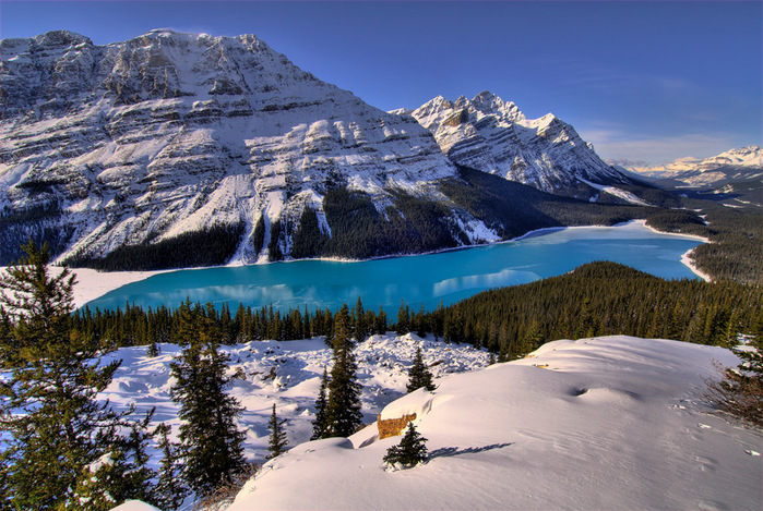 100peyto-lake-canada (700x469, 207Kb)